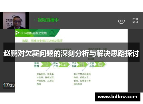 赵鹏对欠薪问题的深刻分析与解决思路探讨